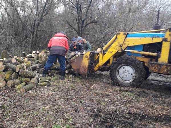 Заготовка дров для нужд СВО.